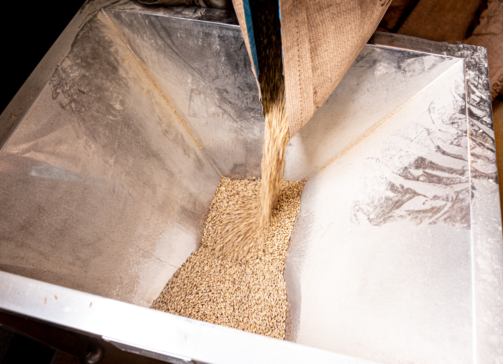 Los cilindros para molinería trituran el grano de cereal